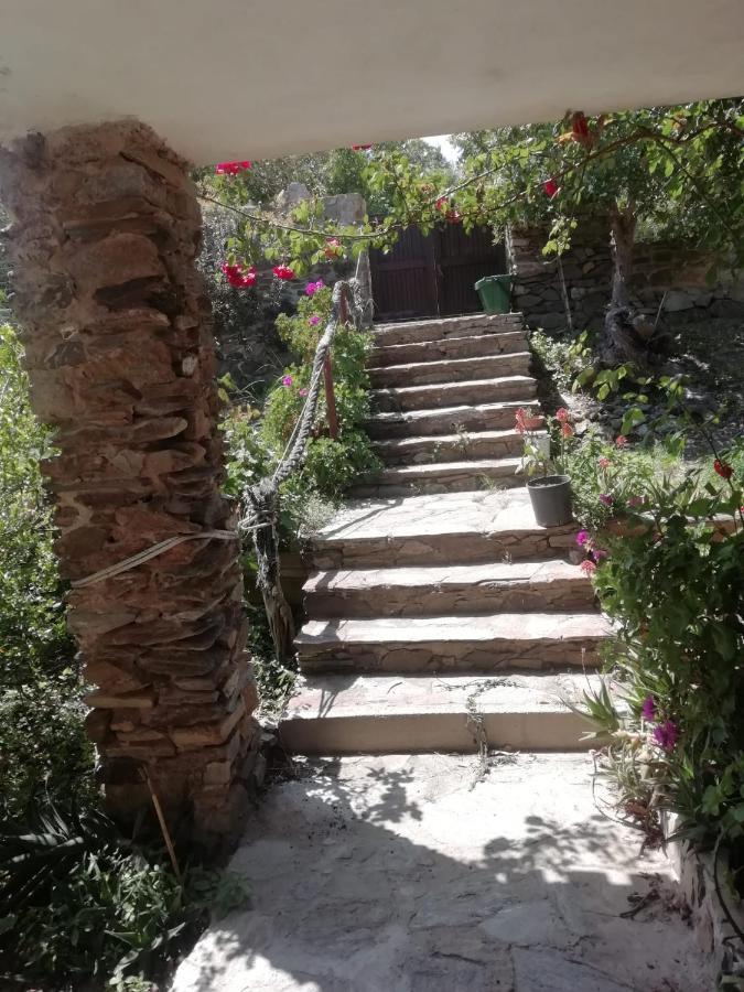 Sa Domo De Afra Stintino Exterior foto