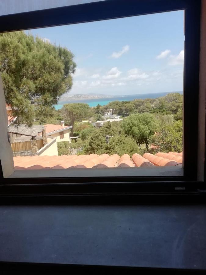 Sa Domo De Afra Stintino Exterior foto